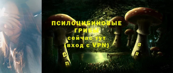 apvp Новозыбков