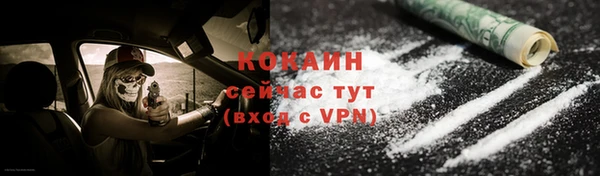 apvp Новозыбков