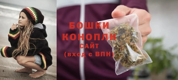 apvp Новозыбков
