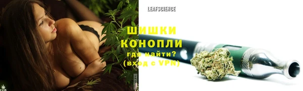 apvp Новозыбков