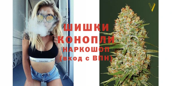 apvp Новозыбков