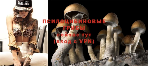гидропоника Новодвинск