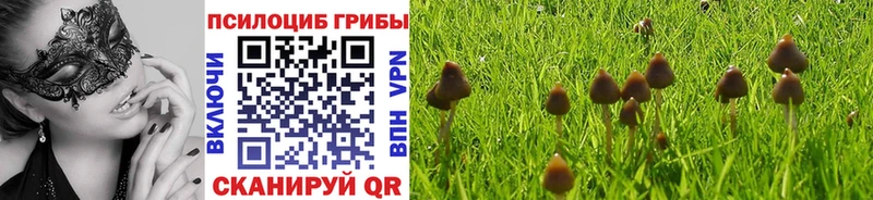 Галлюциногенные грибы мицелий  Чишмы 